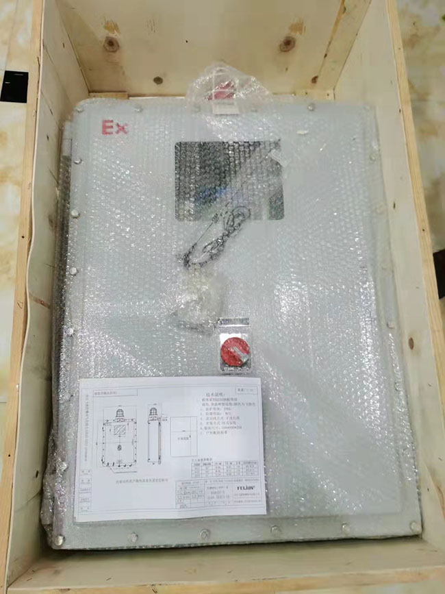 工業級防爆型二合一氣體檢測儀