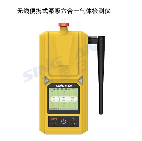 便攜NMP,DMC復(fù)合式氣體檢測(cè)儀