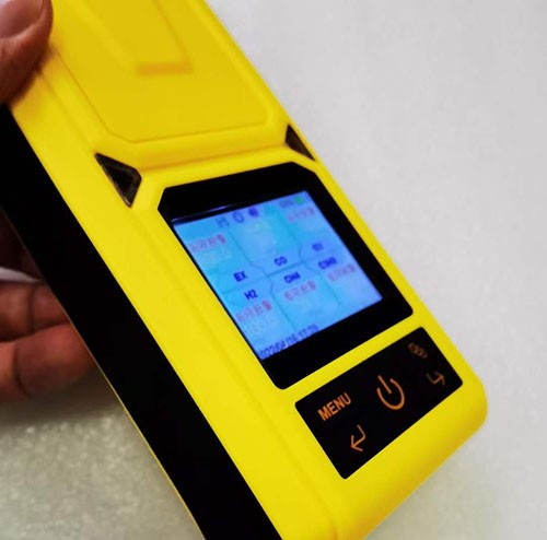 便攜NMP,DMC復(fù)合式氣體檢測(cè)儀