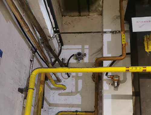 丙烷氣體檢測(cè)儀