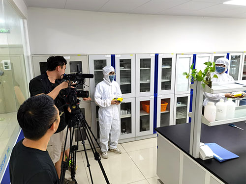 實驗室DMF檢測儀